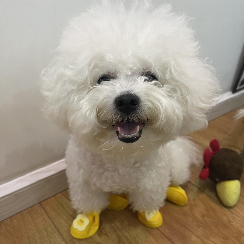 Yeduzyn 4Pcs Waterproof Dog Boots Dog Shoes for Snow and