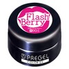 PRE GEL COLOR EX FLASHBERRY 3g PG-CE905