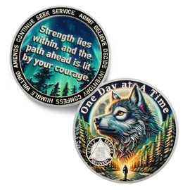 One Day at a Time 1000 Day Sobriety Coin - Recovery Triangle Forest Wolf AA Coins - Addiction NA AA Chips and Medallions - Celebrate 1-30 Living Clean Sober Alcoholics Anonymous Gifts for Men Women
