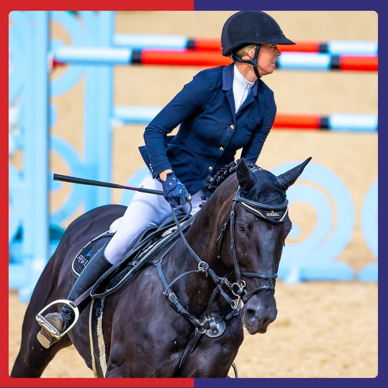 Equine America MSM Powder | Premium Ready To Use Horse