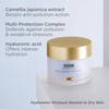 ISDINCEUTICS HM NORMAL 50G