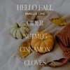 Sweet Water Decor Hello Fall Soy Candle | Hot Cider,