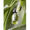 Jeju Matcha Ampoule 30ml / 제주 말차 앰플 30ml
