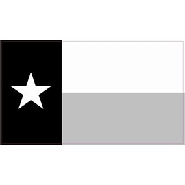 StickerTalk Texas Flag Vinyl Sticker, 4.25 inches by 2.5 inches