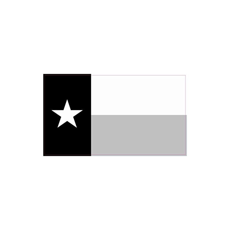 StickerTalk Texas Flag Vinyl Sticker, 4.25 inches by 2.5 inches