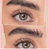 Beauty Creations Jabón Para Cejas 12 Onzas Líquidas (Paquete De