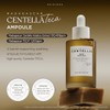 Skin1004 Madagascar Centella Teca Ampoule Korean Face Serum For Oil