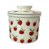 French Butter Crock for Counter With Water Line French Butter