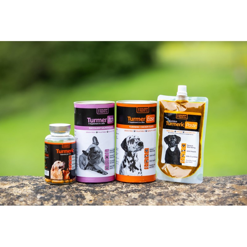 The Golden Paste Company - Natural Premium Turmeric for Dogs