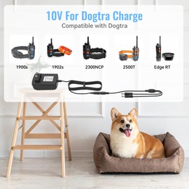 Dmoizka 10V Adapter for Dogtra Charger Power Cord for Dogtra ARC 1900S 1902S Super-X 3502NCP 2300NCP 2500T&B 3500NCP Remote Trainer Collar HK-AJ-100A150-US Replacement Power Supply