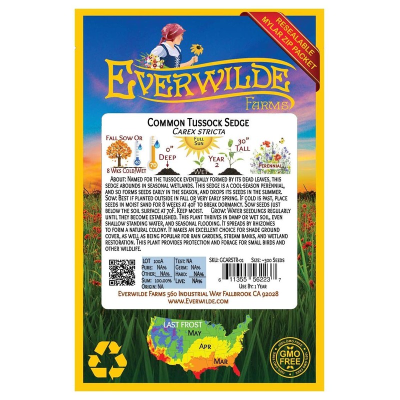 Everwilde Farms - 300 Common Tussock Sedge Native Grass Seeds