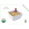 BALTORO FOODS Organic Green Lentils Whole Raw, High Fiber Non-GMO-Bulk