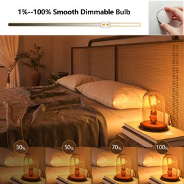 HESSION ST64 LED Edison Bulb - 4W Equivalent 40Watt, 4-Pack 2700K Warm White Light Bulbs, E26 Base Bulb- Easy Install, Vintage Decorative LED Light Bulbs for Home Light