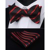 HISDERN Bow Ties for Men Red Bow Tie Self Tie