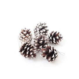 Warmiehomy 30Pcs Christmas Pine Cones with String Mini Natural Dried Pine Cones 5 cm Xmas Hanging Ornament for Christmas Tree Decoration Pendant DIY Crafts Gift Tag Party Home Decor…