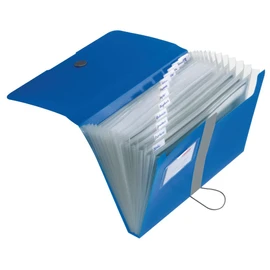 Herlitz Folder for Documents, A4, Polypropylene, 12 Compartments, blue