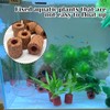 Rainmae 16 Pcs Aquatic Water Plant Fixed Rings, Water Plants