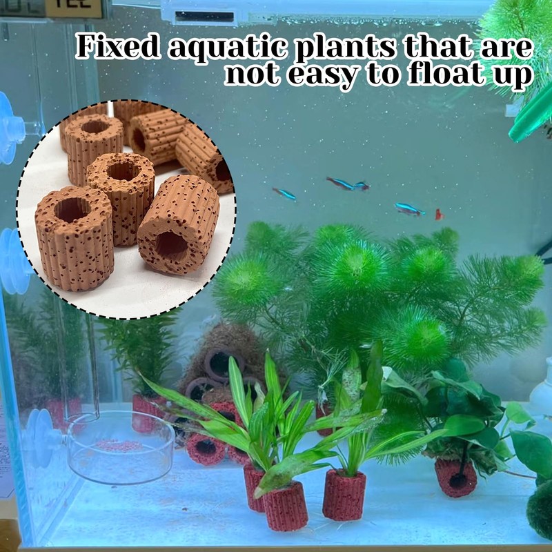 Rainmae 16 Pcs Aquatic Water Plant Fixed Rings, Water Plants