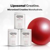 Codeage Codeage Liposomal Creatine Powder Supplement - 3-Month Supply -