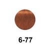 Schwarzkopf Igora Royal Premium Hair Colour, Pack of 1 (60