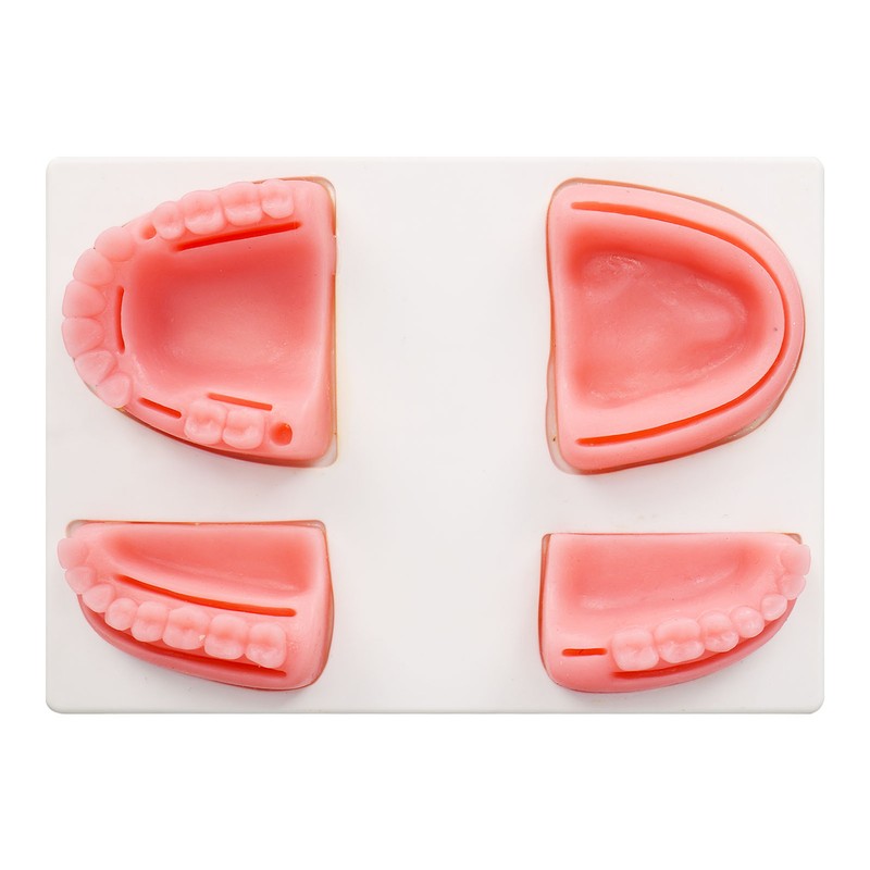 Dental Suture Practice Kit Silicone Model Pliers Tweezers Thread Oral