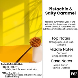 2 Pack Pick 80+Scents Car Air Freshener Hanging Car Diffuser Made in USA Last for 120 Days:_B9- Tropical Bum Bum(Bum Bum Type)