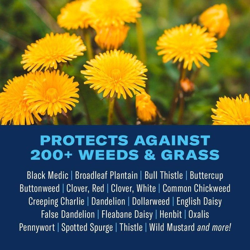 BioAdvanced Lawn Weed Killer Concentrate, Broadleaf Formula, 32 oz