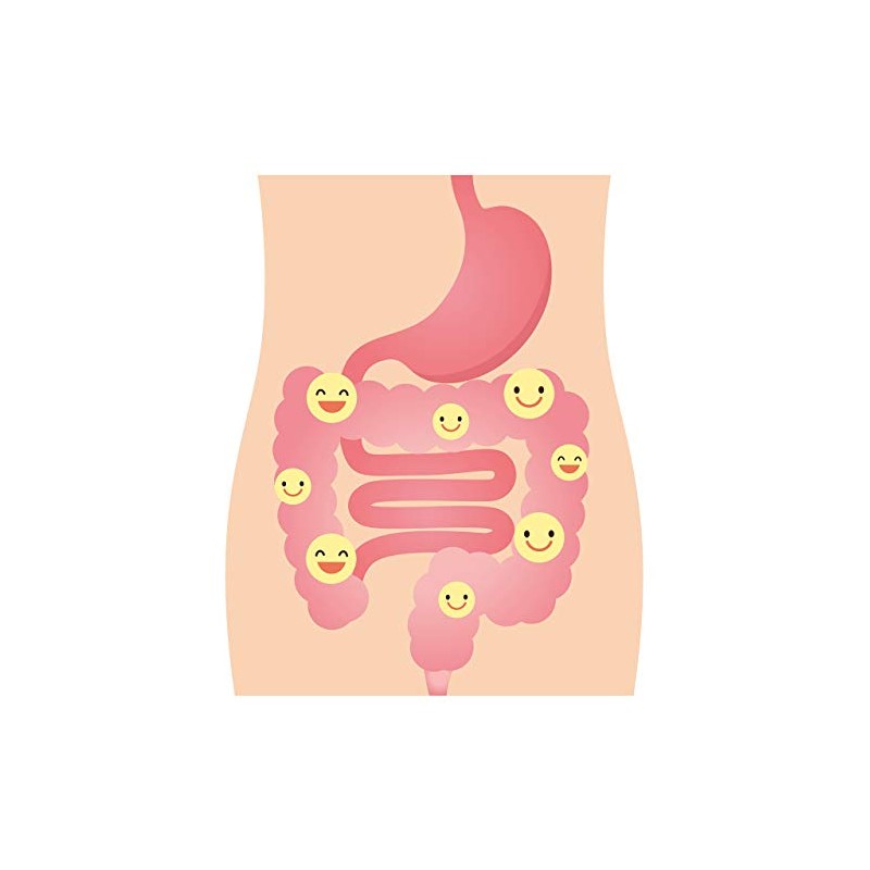 DrFormulas Nexabiotic 23 Probióticos para mujeres y hombres con Lactobacillus