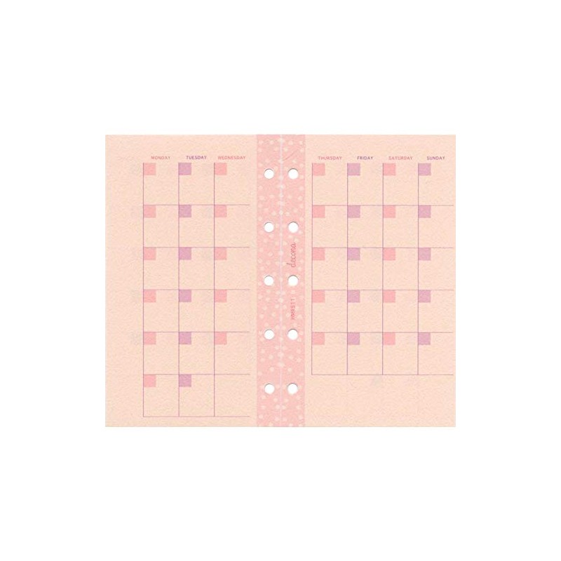 Raymei Fujii decona Mini 5 Size System Organizer Refill Free