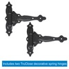 National Hardware N346-200 V6220 TruClose Decorative Spring T Hinge in