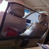 Candora Car Pet Barrier Safety Net - Car Safety Net