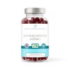 Ashwagandha Gummies 1200mg per serv High Strength with 5% Withanolides