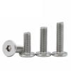 Low Profile Thin Head Stainless Steel Bolts Hex Head 6-30mm