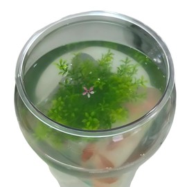 Plastic Fish Bowl Beta Fish Aquariums Scratch-Resistant and Shatterproof Mini Desktop Hydroponic Goldfish Tank (0.92Gallon/ 3.5L)