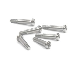 1969 CAMARO PARK LENS SCREWS (W-292A)