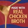 Heinz Home-Style Classic Chicken Gravy 18 oz x 2 Jars