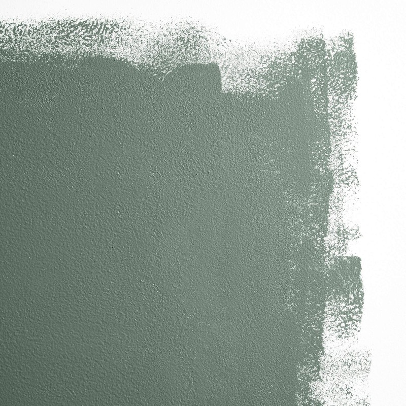 BACKDROP | Premium Interior Paint | Large Adhesive Paint Swatch