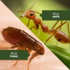 BioAdvanced Home Pest Germ Killer Indoor & Outdoor Insect Killer,