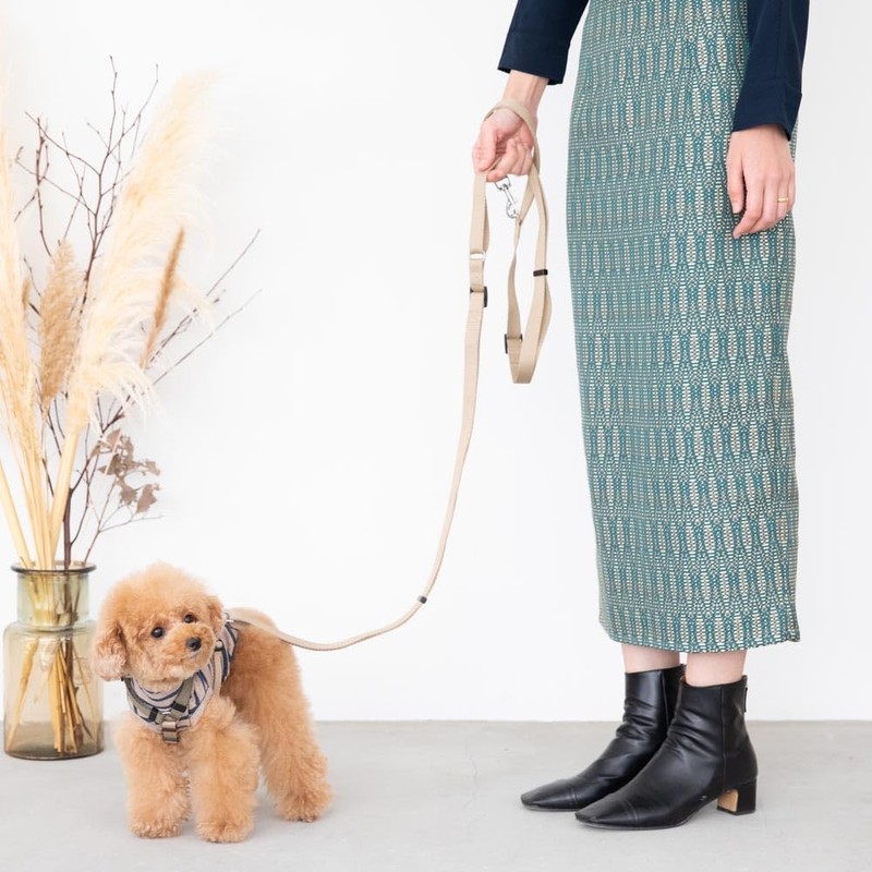 monchéri Simple Basic Color Lead, Free Size, Beige