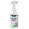 Eco Defense Gnat Spray for Indoor Plants – Fungus Gnat