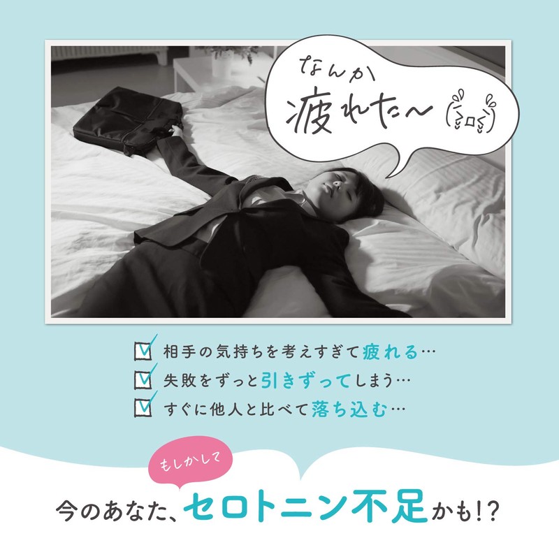 休息時間 GABA セロトニン セントジョーンズワート トリプトファン-サプリメント 60粒入り（30日分）