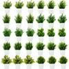 Jexine Small Fake Plants Bulk Mini Artificial Plant Flower Faux
