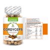 Cordyceps 100 cápsulas, Adaptogeno calidad Premium