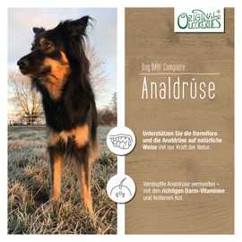 ORIGINAL LECKERLIES® Dog BARF Analdrüse-Kräutermix – PULVER für Hunde I natürliche Unterstützung der Analdrüsen, Verdauung, Darmflora und Darmtätigkeit sowie eines gesunden Darms (375 g)