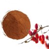산수유추출분말 100g Cornelian Cherry Extract Powder 100g