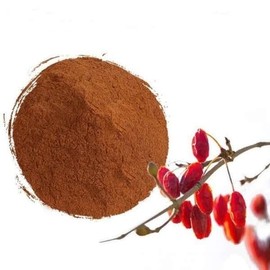 산수유추출분말 100g Cornelian Cherry Extract Powder 100g