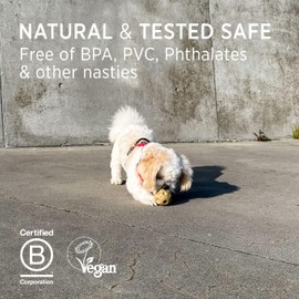 Hevea Hondenspeeltje Natural Rubber Moonball Old Rose