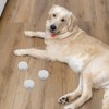 VILLCASE 10pcs Dog Scent Work Tins, Aluminum Dog Nose Work