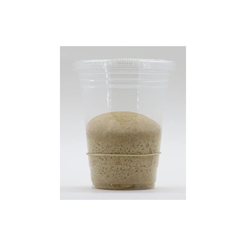 Bakerdale Dehydrated Organic Whole Wheat Sourdough Starter Culture