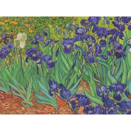 Retrospect Group Van Gogh Flowers Note Card Set of 16 Blank Note Cards with Envelopes